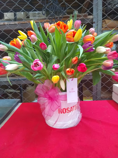 Rosatel -Floreria Regalos Flores