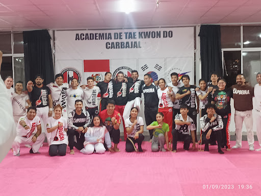 Academia de Taekwondo Carbajal